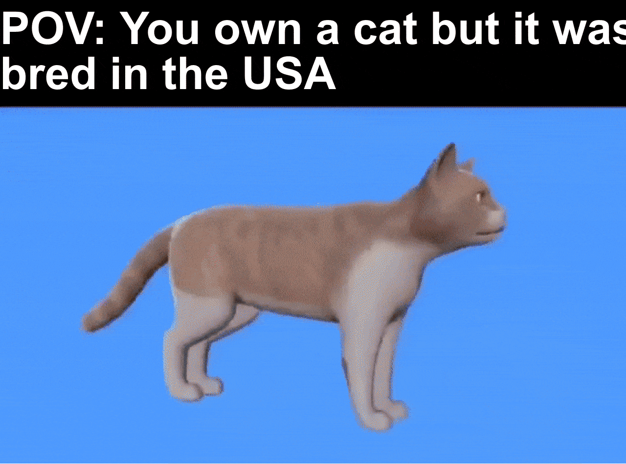 You Have to See This Hilarious “Desert Cat 5000” Meme — The Purr-fect Dose of Humor!