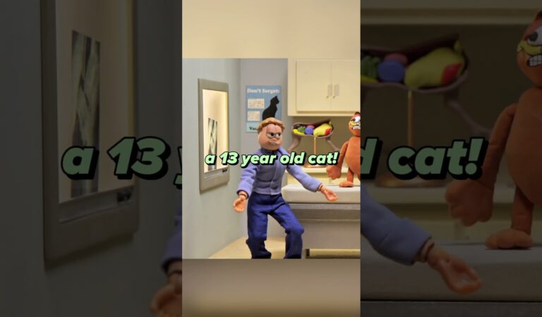 Hilarious Cat Shenanigans That Will Make Your Day – You’ve Got to See This!