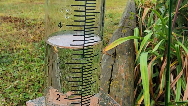 Rainfall Reports for July 15 & 16: Must-See Weather Updates