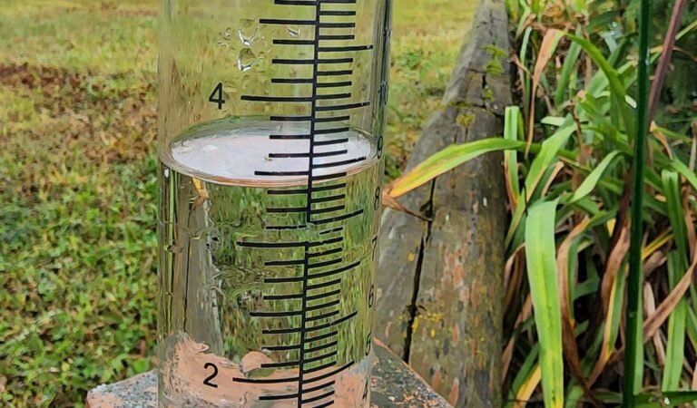 Rainfall Reports for July 15 & 16: Must-See Weather Updates