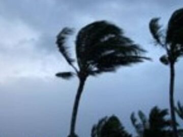 Big Island Wind Advisory: What You Need to Know This Week