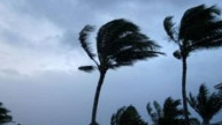 Big Island Wind Advisory: What You Need to Know This Week