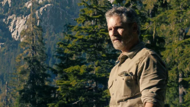 Untamed Season 2: Has It Been Canceled or Renewed? Insider Update