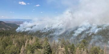 Laguna Wildfire Daily Update: Latest Fire News You Must See