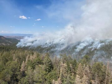 Laguna Wildfire Daily Update: Latest Fire News You Must See
