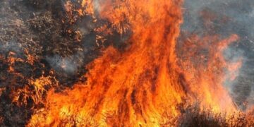 Brush Fire in Laguna Beach Prompts Evacuations—What You Need to Know