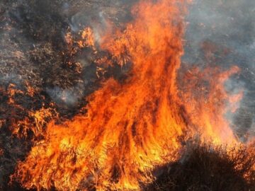 Brush Fire in Laguna Beach Prompts Evacuations—What You Need to Know